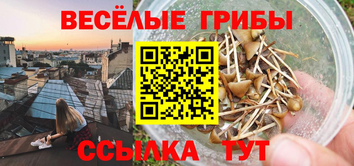 магазин продажи   Галлюциногенные грибы Magic Shrooms  Щёкино  Вход с VPN  Галлюциногенные грибы MAGIC MUSHROOMS 