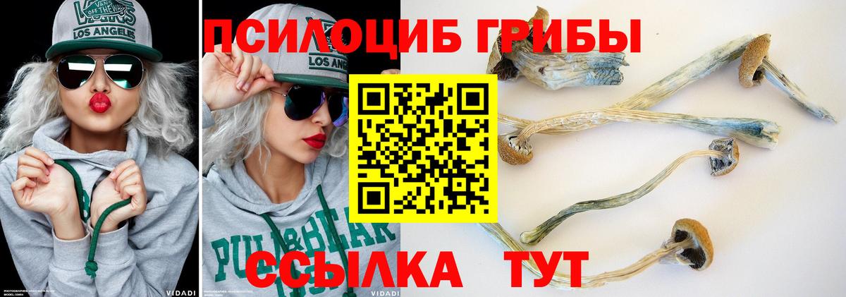 Псилоцибиновые грибы мицелий Щёкино