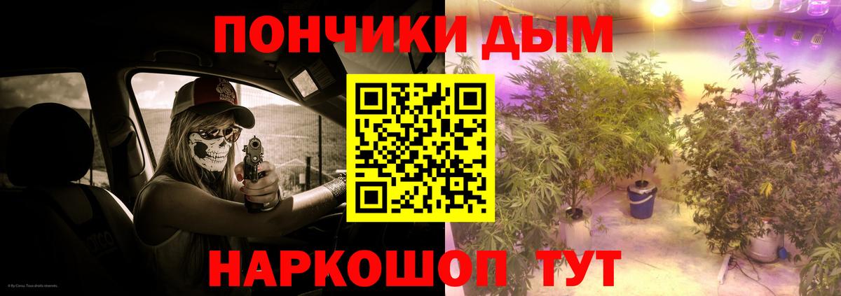 Конопля тримм  Вход с VPN  Щёкино  Канабис Amnesia  Каннабис конопля  МАРИХУАНА конопля 
